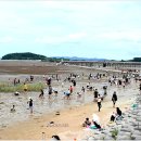 무안황토갯벌랜드 생태갯벌과학관 이미지