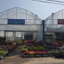 풍림농원 이미지