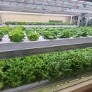 리브팜 압구정 이미지