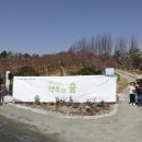 용수태양광발전소 이미지