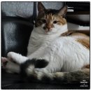 이섭대천로 1380번길 1 이미지