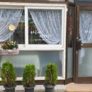 타로에 반하다 이미지