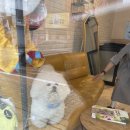 김고은그루밍# 이미지