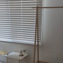 하하스테이 이미지