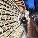 서울구경