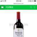 아리엔