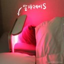 셀리턴 앰버서더 1년의 활동을 마치며