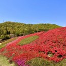수만리 생태숲공원 이미지