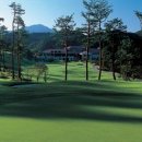 크리스탈 골프클럽 이미지