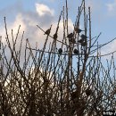 시흥초등학교 이미지