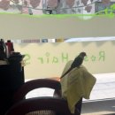 장미헤어샵