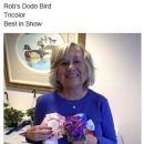 도도버드 이미지