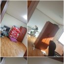 전주도배지업사 이미지