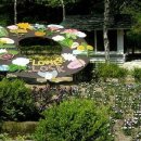 팬션나라 이미지