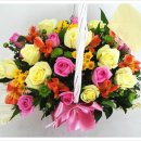 낙산씨사이드 이미지