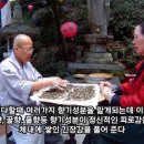 동래차밭골 이미지