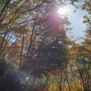 미선식당 이미지