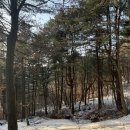 경반 목장 | 해장엔 캠핑이 최고지... 폭설 다음 날 포천 유식물원 캠핑 후기.