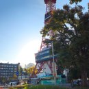 라쿠 | [일본여행]클룩예약 - 북해도 샤코탄 &amp; 오타루 1일 버스투어 (한국인 가이드 / 라쿠) 솔직후기