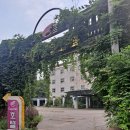 캐피탈관광호텔 이미지