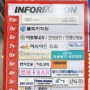 카리노리 이미지