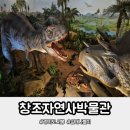창조자연사박물관 | 짧고 가볍게 다녀오기 좋은 시흥 창조자연사박물관