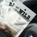 향기펫샵 이미지