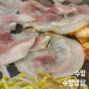 수영냉삼 | 부산 수영구 맛집 수영냉삼 냉동삼겹살 가성비 끝판왕 후기