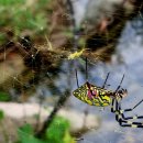 하대2리 이미지