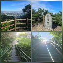 금당산/모후산(2026 0606)