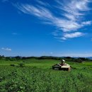 일출한우농장 이미지