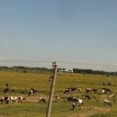 타슈켄트 이미지