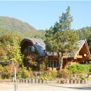 거목 통나무집 이미지