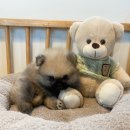 연제구-045 이미지