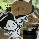 대전근교 주말만 여는 북카페가있다? 옥천 솔담도랑 내돈내산 솔찍후기