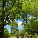 광희목장 이미지