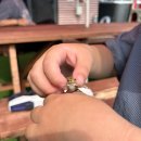 내장산208정읍펜션 이미지