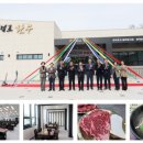 임실한우 이미지