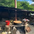 순천 나무숲 이미지