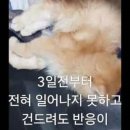 소명한방병원 이미지
