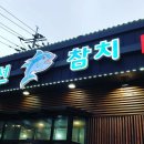 동선참치 이미지