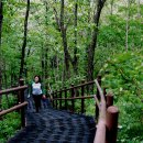 진고개공원 이미지