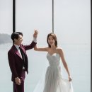 블루코코 컴퍼니 이미지
