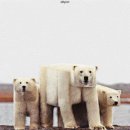 네모네모 이미지