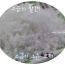 김장소금 / 국산 천일염 :) 소금이오는소리 - 좋은 소금 고르는 법