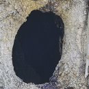 우면산5-5 이미지