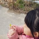 지윤농장 이미지