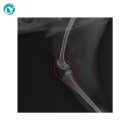 경주동물병원 이미지