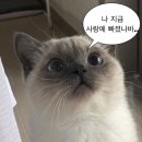 벵봉 이미지
