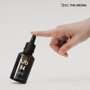 더 바스
